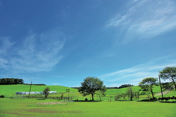 鹿角平観光牧場