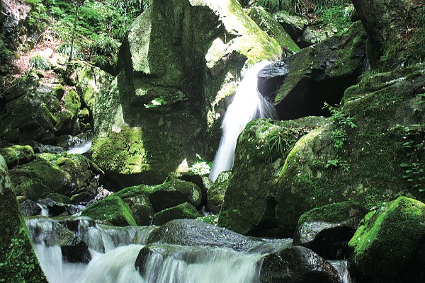 滝川渓谷遊歩道