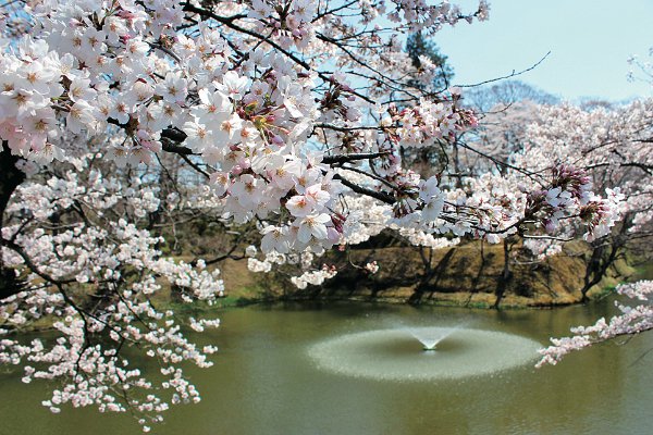 棚倉城跡(国指定史跡)