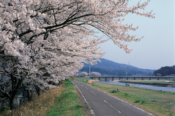 久慈川サイクリングロード
