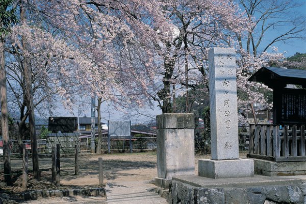 向ヶ丘公園